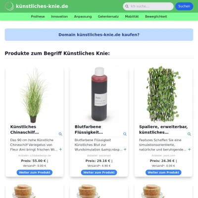 Screenshot künstliches-knie.de