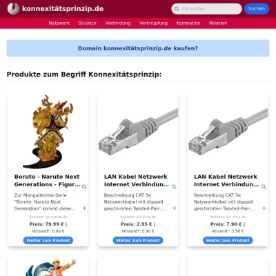 Screenshot konnexitätsprinzip.de