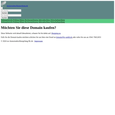 Screenshot konzernabschlussprüfung.de