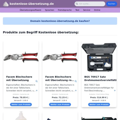 Screenshot kostenlose-übersetzung.de