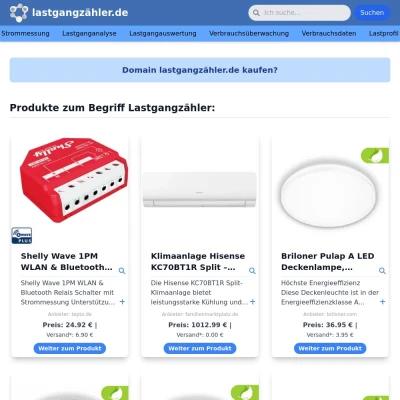 Screenshot lastgangzähler.de