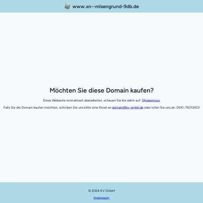 Screenshot mülsengrund.de