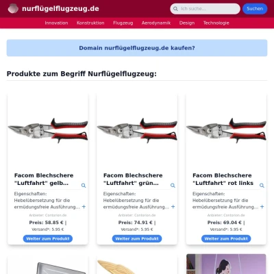 Screenshot nurflügelflugzeug.de