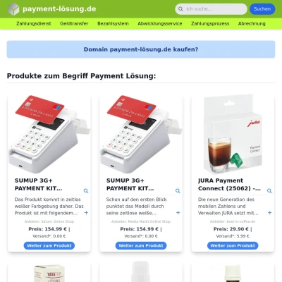 Screenshot payment-lösung.de