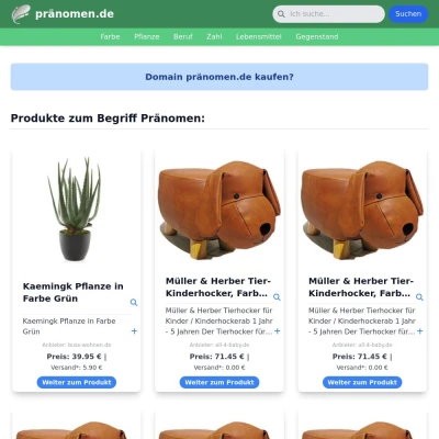 Screenshot pränomen.de