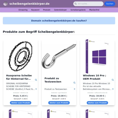 Screenshot scheibengelenkkörper.de