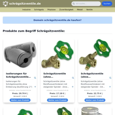 Screenshot schrägsitzventile.de