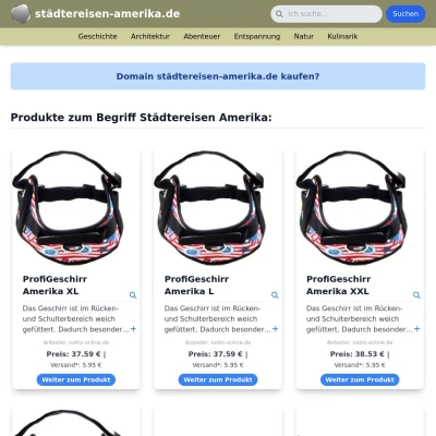 Screenshot städtereisen-amerika.de