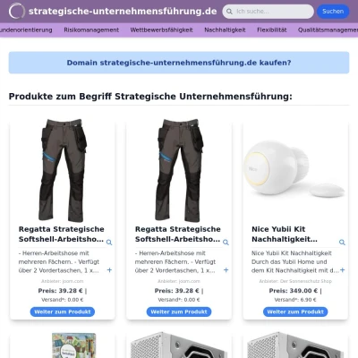 Screenshot strategische-unternehmensführung.de