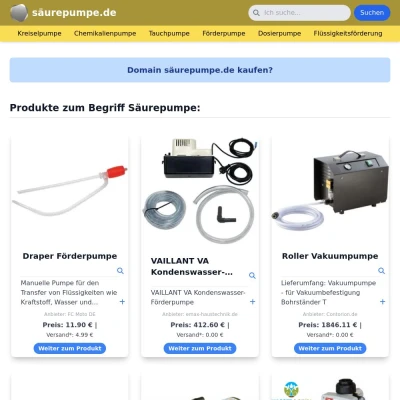 Screenshot säurepumpe.de