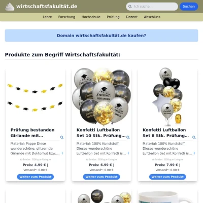 Screenshot wirtschaftsfakultät.de