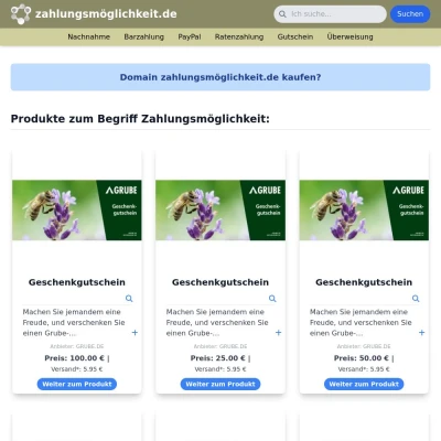 Screenshot zahlungsmöglichkeit.de