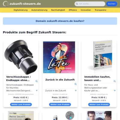 Screenshot zukunft-steuern.de